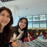 お見合いの同行